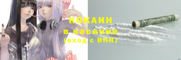 шишки Нягань