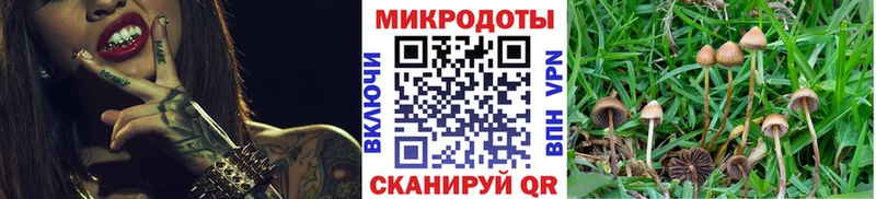 Псилоцибиновые грибы MAGIC MUSHROOMS  KRAKEN tor  Менделеевск 