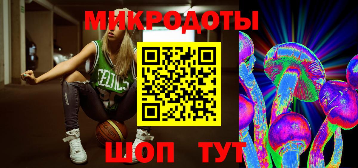 Псилоцибиновые грибы Cubensis Менделеевск