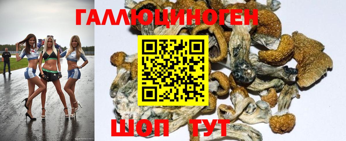 Галлюциногенные грибы мицелий  Менделеевск 