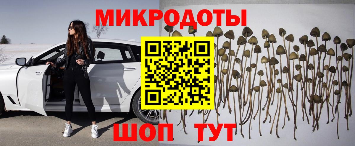 Псилоцибиновые грибы MAGIC MUSHROOMS  Галлюциногенные грибы прущие грибы  где найти наркотики  Вход с VPN  Менделеевск 